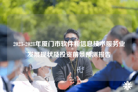 2023-2028年厦门市软件和信息技术服务业发展现状及投资前景预测报告