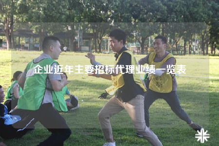 企业近年主要招标代理业绩一览表