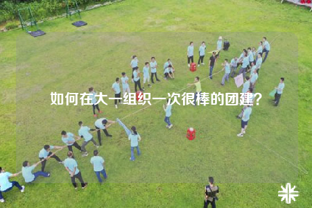 如何在大一组织一次很棒的团建？