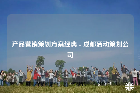 产品营销策划方案经典 - 成都活动策划公司