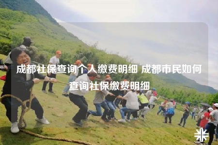 成都社保查询个人缴费明细 成都市民如何查询社保缴费明细