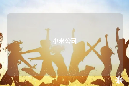 小米公司