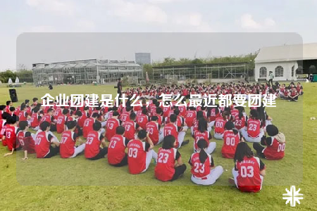 企业团建是什么，怎么最近都要团建